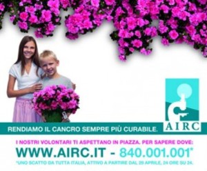 Airc-azalea