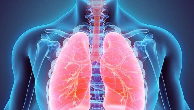 Ricerca, Viagra associato a Nintedanib nella fibrosi polmonare idiopatica