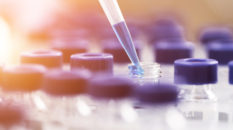 Eli Lilly: un manifesto per la farmaceutica in Europa