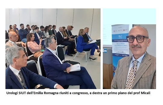 Prostatite e cistite. Convegno degli urologi dell’Emilia Romagna