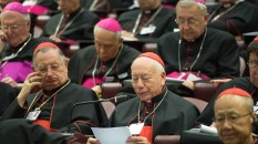 Il cardinale  Francesco Coccopalmerio al Sinodo