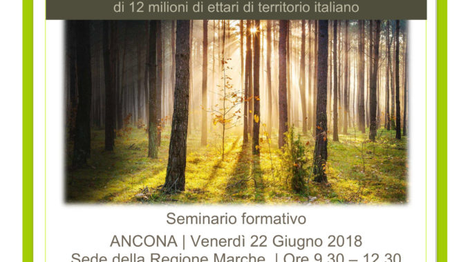 Seminario sul nuovo Codice Forestale nazionale ad Ancona il 22 giugno